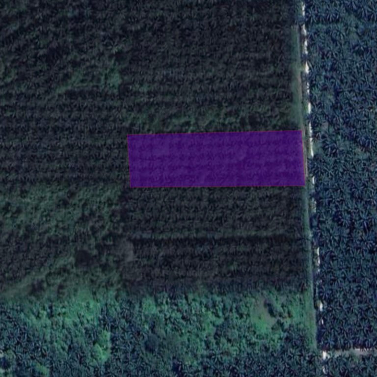 Screenshot 2024 08 02 at 3.14.50 PM 768x768